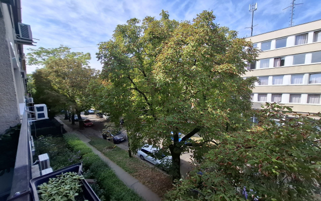 Kiadó Tégla lakás Budapest XI. kerület Kelenföld Daróczi út