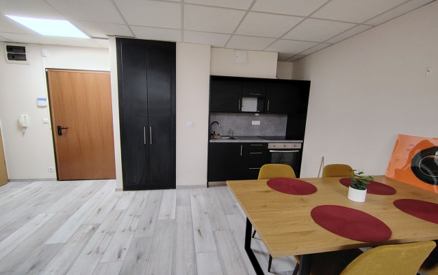 Kiadó Tégla lakás Budapest IX. kerület Középső-Ferencváros Ipar utca