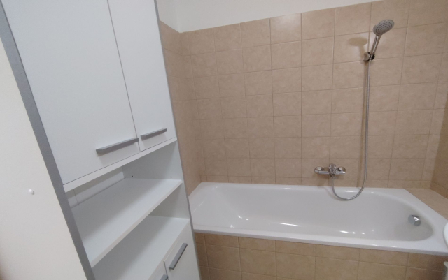 Kiadó Tégla lakás Budapest IX. kerület Középső-Ferencváros Ipar utca