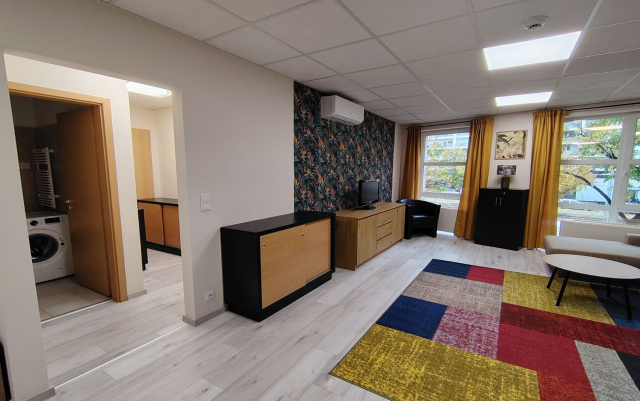 Kiadó Tégla lakás Budapest IX. kerület Középső-Ferencváros Ipar utca