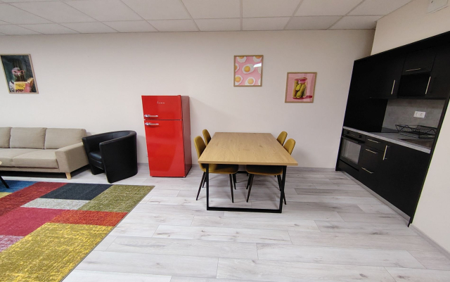 Kiadó Tégla lakás Budapest IX. kerület Középső-Ferencváros Ipar utca