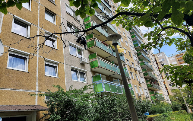 Kiadó Panel lakás Budapest IV. kerület Rózsa utcai ltp. Rózsa utca