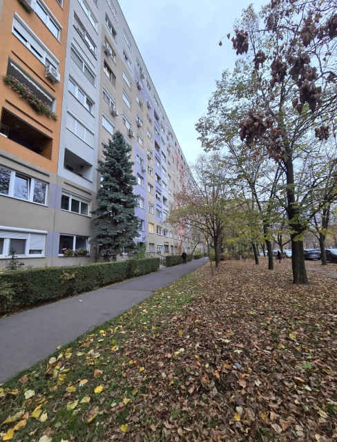Kiadó Panel lakás Budapest XI. kerület Kelenföld Bártfai utca