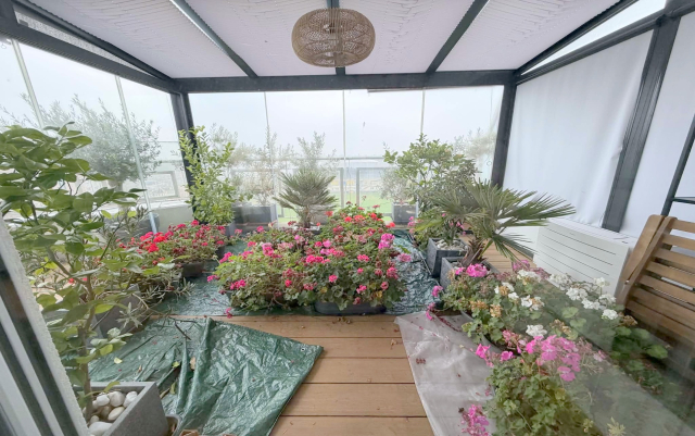 Kiadó Tégla lakás Budapest VIII. kerület Józsefváros (Nagykörúton kívül) Ciprus utca