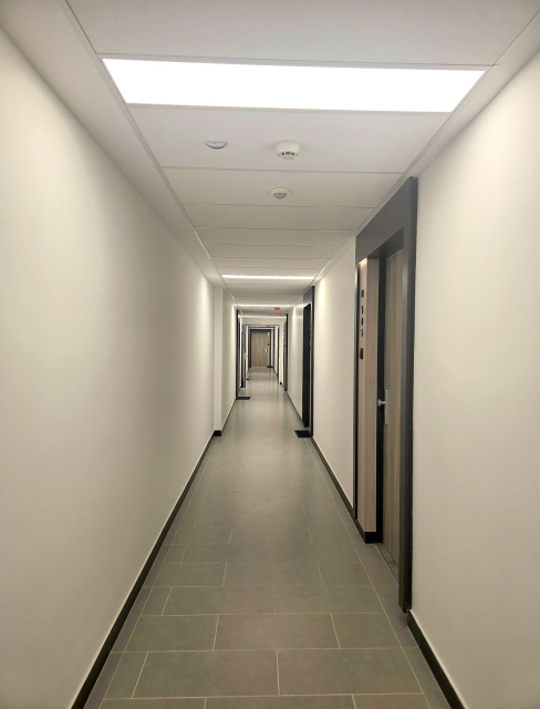 Kiadó Tégla lakás Budapest IX. kerület Középső-Ferencváros Vágóhíd utca