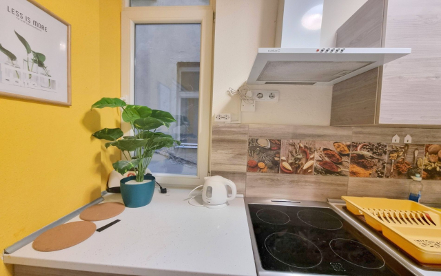 Kiadó Tégla lakás Budapest VI. kerület Terézváros (Nagykörúton belül) Király utca