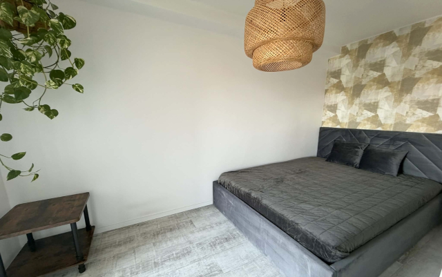 Kiadó Tégla lakás Budapest VII. kerület Erzsébetváros (Nagykörúton kívül) Damjanich utca