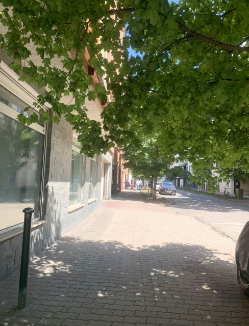 Kiadó Tégla lakás Budapest XIII. kerület Angyalföld Angyalföldi út