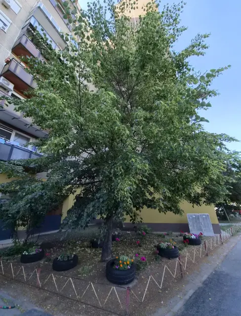 Kiadó Panel lakás Budapest IV. kerület Újpest-Központ István út