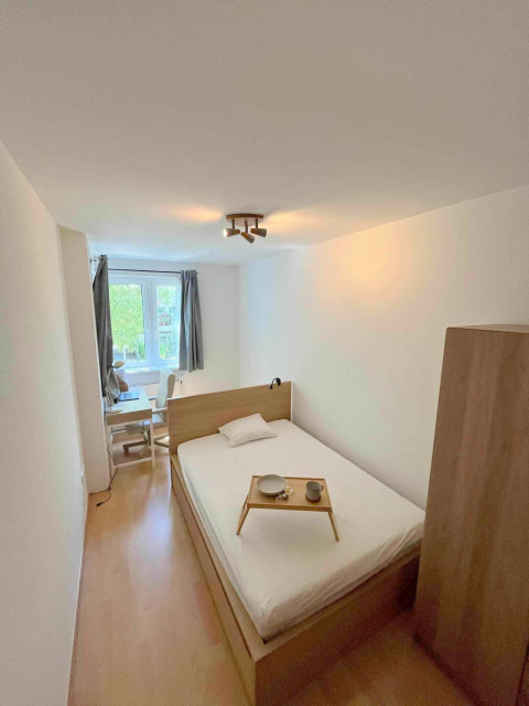 Kiadó Tégla lakás Budapest VIII. kerület Józsefváros (Nagykörúton kívül) Dugonics utca